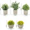 5 Pack Small Potted Artificial Plants with Eucalyptus & Greenery in Cement Pots – Faux Indoor Plants for Shelf, Desk, Bathroom, Office, Table & Modern Farmhouse Home Decor
